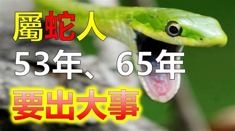 1965屬蛇|【1965年屬蛇】1965年屬蛇人2023~2024 運勢全解密